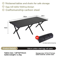 Table de camping pliante en métal moderne, légère et durable pour le camping en plein air, le parc, la plage, le balcon, la terrasse intérieure