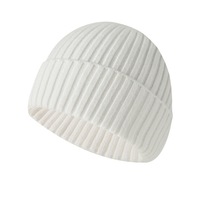 Bonnet chaud tricoté épais OEM Automne Hiver, personnalisable avec logo, couleur unie, broderie, accessoire de marque tendance pour temps froid