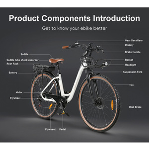 Bicicletta <span class=keywords><strong>Elettrica</strong></span> da Città OEM per Donna, Telaio Grande <span class=keywords><strong>28</strong></span> Pollici, 250W500D, Lunga Autonomia, 36V - Product Image 3