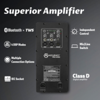 Accuracy Pro Audio CAO10D6-2K professionnel 500W 10 pouces système de sonorisation ensemble de haut-parleurs actifs en plastique