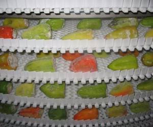 Hairise Transportband Voor Koelsysteem Food Grade Ketting Transportband Spiraal Transportband Schroef Transportband - Product Image 6