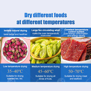 Horno de Secado de Pepino de Mar de Acero Inoxidable ORME, Deshidratador de Alimentos, Máquina Secadora de Biltong y Frutas, Precio - Product Image 5