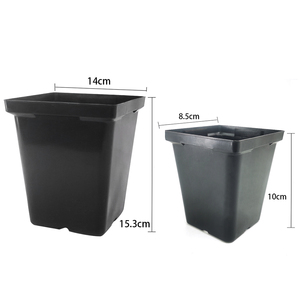Huazhiai Cheap Plastic Black Square Plant Flower Nursery Pot for Sale