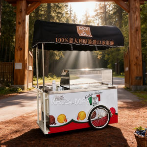 Remolque de Gelato, Carrito de Helados Remolcable, Congelador de Helados, Comida Rápida, Comida Callejera, Carrito Metálico Resistente a la Oxidación - Product Image 1