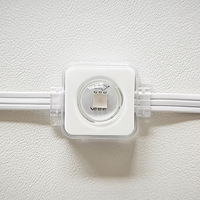 Contrôleur Wi-Fi intelligent pour lumières LED de vacances en extérieur, corps en PVC pour l'éclairage de jardin, éclairage de Noël, affichage extérieur permanent de la maison