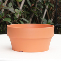 Pot de cactus et succulentes avec soucoupe pour présentoirs de fleurs de jardin Pots de fleurs et jardinières de qualité supérieure