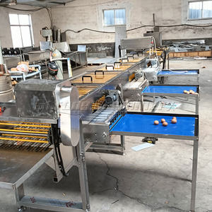 Machine de triage d'œufs à petite échelle / Machine de triage d'œufs au prix le plus bas - Product Image 2