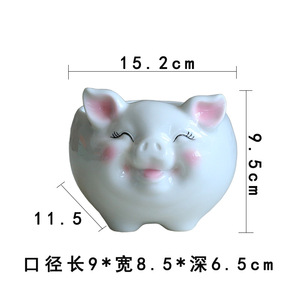 Tiết Kiệm Lớn Cho Chậu Hoa Mọng Nước Hình Lợn Động Vật Hoạt Hình Tuyệt Vời Chậu Trồng Hoa Thủy Canh Làm Vườn Sáng Tạo Bằng Gốm - Product Image 4