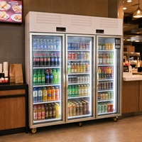 Réfrigérateur commercial à porte vitrée pour boissons, refroidisseur vertical avec éclairage gratuit pour supermarchés et magasins de proximité