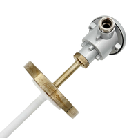Detector de Temperatura Anticorrosión Sinterizado de PTFE PROG-TL-1 con Conexión de Múltiples Cables PT100 PT1000 para Proyectos de Protección Ambiental