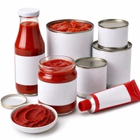 Ligne de production de sauce tomate, de jus, de confiture, de ketchup et de purée de tomates en acier inoxydable contrôlée par PLC