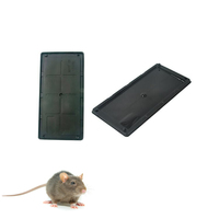 Vente en gros de colle solide super adhésive pour l'intérieur Piège à souris efficace pour le contrôle durable des rongeurs