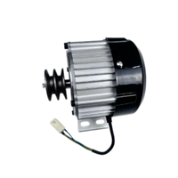 Moteur électrique CC sans balais haute vitesse 500W 48V 24V 3000 tr/min avec poulie pour vélo électrique, indice de protection IP54, efficacité IE4