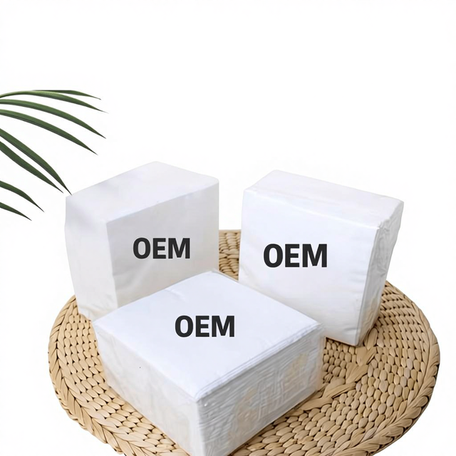 Eco-Friendly OEM Napkins, Biodegradable 2-Ply Tissues with Custom Packaging