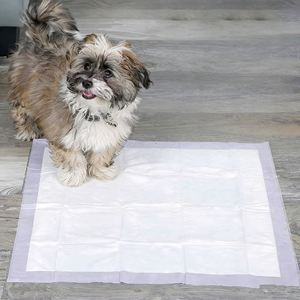 Almohadillas de Entrenamiento Fisiológicas Súper Absorbentes, Almohadillas Desechables para Orina de Mascotas, Pañales Personalizados de Fábrica para Perros y Gatos, Venta al por Mayor - Product Image 1