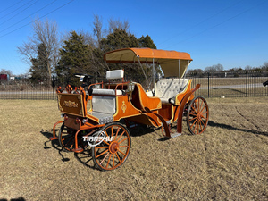 Carrito <span class=keywords><strong>de</strong></span> <span class=keywords><strong>caballos</strong></span> <span class=keywords><strong>de</strong></span> pony <span class=keywords><strong>de</strong></span> 4 ruedas barato a la <span class=keywords><strong>venta</strong></span> Agregar un carro con luz Led Victoria Carruaje <span class=keywords><strong>de</strong></span> <span class=keywords><strong>caballos</strong></span> <span class=keywords><strong>de</strong></span> Navidad al aire libre - Product Image 6