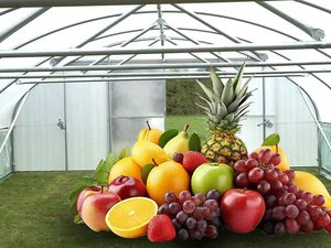 Vous n'avez pas à <span class=keywords><strong>avoir</strong></span> <span class=keywords><strong>peur</strong></span> du soleil lorsqu'il fait chaud lors de la culture des légumes dans le <span class=keywords><strong>d</strong></span>ésert. Serre de refroidissement à ombrage total. - Product Image 5