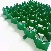 Grilles de pavage perméables en nid d'abeille en PEHD modernes pour applications de gravier dans les enclos à chevaux 500x500mm Vert Noir CE