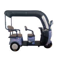 2025 pas cher 3 roues E cyclomoteur 650w Tricycle électrique avec auvent pour adulte