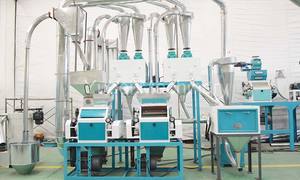 Fraiseuse <span class=keywords><strong>de</strong></span> petite capacité <span class=keywords><strong>de</strong></span> <span class=keywords><strong>farine</strong></span> <span class=keywords><strong>de</strong></span> blé 10 <span class=keywords><strong>T</strong></span>/24H - Product Image 5