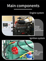 Générateur à gaz à micro-turbine de 30 kW, petit générateur à gaz pour usage domestique ou alimentation de secours pour entrepôt, de bonne qualité et performant