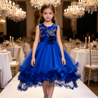 Robe en tulle bleu royal brodée or pour tout-petits, tenue de fête d'anniversaire pour bébé fille, robe de princesse pour enfant, robe de demoiselle d'honneur pour mariage
