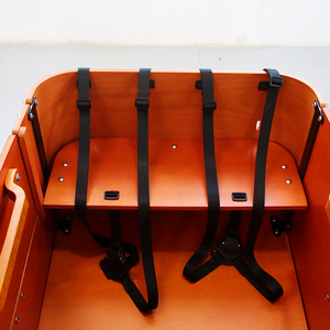 Vélo cargo électrique à 3 roues, entrepôt européen, vélo cargo classique <span class=keywords><strong>avec</strong></span> <span class=keywords><strong>porte</strong></span> pour la famille - Product Image 5