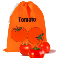 Sac à dos à cordon en polyester avec logo personnalisé, léger, facile à transporter, pliable, pour la gym, les voyages, le fitness et les cadeaux promotionnels