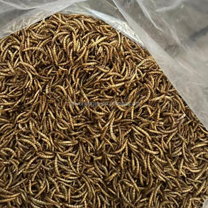 गर्म बिक्री सूखे थोक मेवर्म - Product Image 2