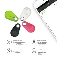 Traceur GPS de gros avec suivi sécurisé pour clés de voiture, animaux de compagnie et bagages