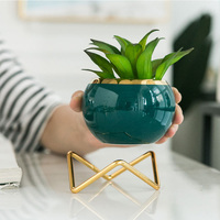 Pots à plantes succulentes créatifs, mini pots en céramique glacée effet craquelé, décoration de jardin, décoration de la maison, artisanat Zakka, pot à fleurs