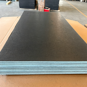 Panneau <span class=keywords><strong>de</strong></span> support XPS imperméable pour mur <span class=keywords><strong>de</strong></span> cuisine, isolation acoustique rapide, carrelage fin rapide - Product Image 1