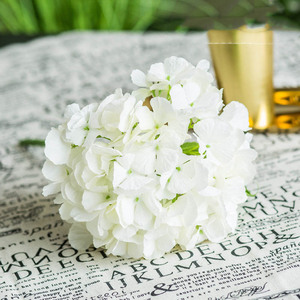 Flores de Hortensia al por Mayor, Hortensias Preservadas en Tallo, Planta de Hortensia en Venta - Product Image 6