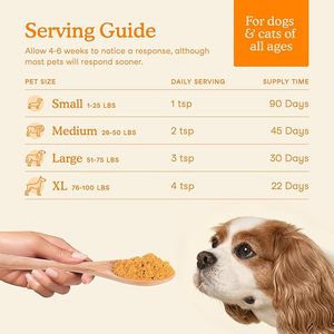 All Natural <strong>Pet</strong> <strong>Supplement</strong> Powder Probiotic Nutritional <strong>Supplement</strong> for Cats with Enterococcus Faecium, Lactobacillus Acidophilus - Product Image 4