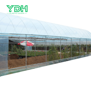 LDPE 6mil 150ไมครอนแผ่นฟิล์มใสเรือนกระจกขนาดใหญ่ที่ทำจากวัสดุ PE - Product Image 2