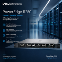 Serveur Rack 1U R250 pour Stockage Réseau et Hébergement Web avec Processeur Intel Xeon E-2300