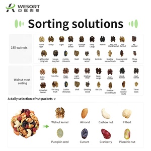 Wesort AI Deep Learning Cámara CCD de alta precisión Tipo de cinturón Máquina clasificadora de color nogal 2025 Eficiencia Premium - Product Image 3