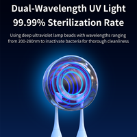 Mini stérilisateur de brosse à dents rechargeable UVC LED avec deux fentes, brosses à dents, nettoyeur de soins dentaires à domicile