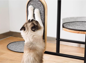 Arbre à chat multi-plateformes de luxe en acier carbone et bois d'hévéa avec tapis moelleux et condo pour animaux - Product Image 4