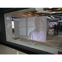 Film de projection arrière auto-adhésif Film d'écran holographique