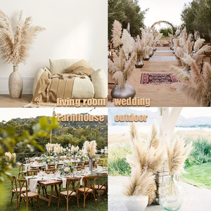 G22 bohémien Ambiance Pompas erba ideale <span class=keywords><strong>per</strong></span> composizioni floreali <span class=keywords><strong>vasi</strong></span> da pavimento alti steli di erba pampa in Beige naturale - Product Image 6