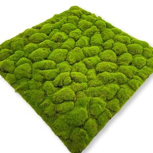 Césped Artificial, Musgo Decorativo para Pared, Plantas Colgantes, Jarrones, Artículos <span class=keywords><strong>de</strong></span> Jardín, Decoración Interior Ecológica para <span class=keywords><strong>Bodas</strong></span> - Product Image 5