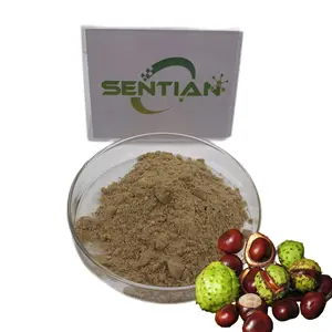 Horse Chestnut Seed Extract Salo Fruit Extract 20% Aescin