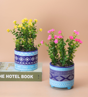 Pots en céramique de style nordique pour plantes Conception de bassin ventilé pour Cactus Couvercles de pots de fleurs succulentes pour la maison et le jardin