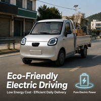 Mini camionnette électrique fermée à 4 roues pour le transport agricole