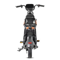 Batterie de vélo électrique de stockage, acier, Paige, vente directe d'usine, vélo électrique fabriqué en Chine, logo personnalisé pour adultes, batterie au lithium 60V