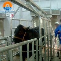 Système de pesage numérique pour bétail avec imprimante, interface de données informatique, pont-bascule robuste pour abattoir
