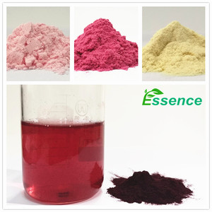 100% naturel <span class=keywords><strong>Lonicera</strong></span> <span class=keywords><strong>Caerulea</strong></span> Haskap Berry poudre d'extrait de myrtille - Product Image 4