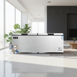 Congélateur coffre électrique commercial à double compartiment, dégivrage automatique, <span class=keywords><strong>classe</strong></span> énergétique <span class=keywords><strong>A</strong></span>+, pour usage hôtelier et domestique, grande capacité, haute qualité - Product Image 4