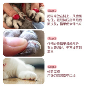Coupe-ongles pour animaux de compagnie, lame courbée de 12,5 mm en acier inoxydable pour toilettage de chiens et chats avec lime - Product Image 4